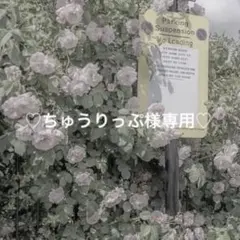 ♡ちゅうりっぷ様専用♡