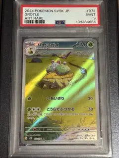 2026年最新】ハヤシガメARの人気アイテム - メルカリ