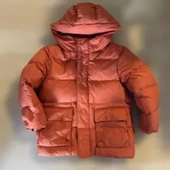 ダウン 100 暖かい