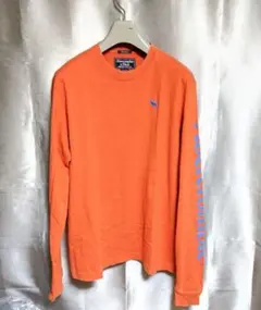 アバクロンビー&フィッチ腕ロゴ長袖Tシャツ