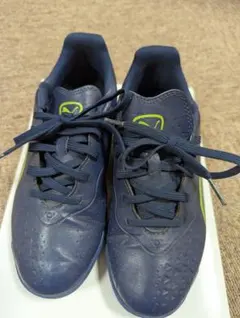 Item thumbnail for item a2946a22-a92f-4a75-93c1-73972e0fdd8e