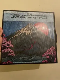 新品 FKJ × Yussef Dayes / Live アナログ レコード - メルカリ