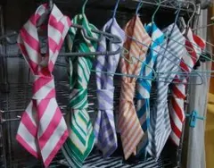 スカーフ風ネクタイ@注文用ページ