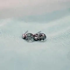 Item thumbnail for item 9f36a80c-084b-4dc6-a754-62363ba8693b