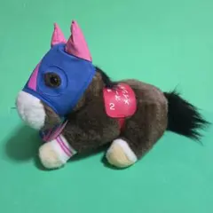 メイショウドトウ　第46回オールカマー