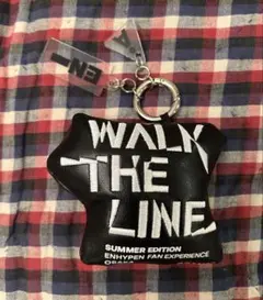 Item thumbnail for item 9de6abab-79af-46c3-97ee-4e0436db1d68