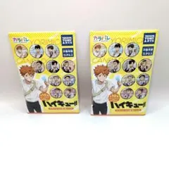 ハイキュー!! カラパレ より道 缶バッジ 2個 セット