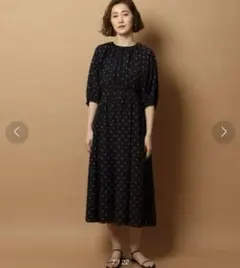 【DRESSTERIOR】ドレステリア 小紋プリント ワンピース 34のサムネイル
