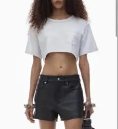 Alexander wang Tシャツ　トップス　XSのサムネイル