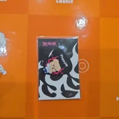 straykids　skzoo 韓国popup ギターピック　puppym