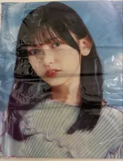 Item thumbnail for item 1fd47da7-5e89-452f-b9bf-902f11ebe769