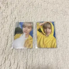 Seventeenth heaven Carat盤 トレカ ディノ