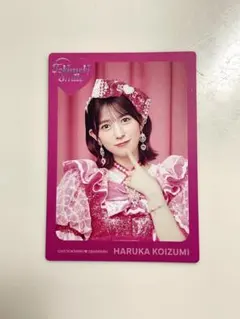 黒い猫様 リクエスト 2点 まとめ商品