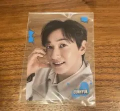 Item thumbnail for item bd6e207d-cba6-46f9-9824-4cc16431a6c2