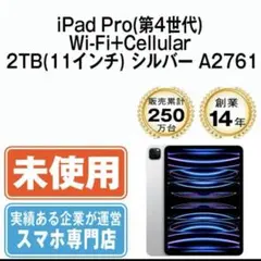 【新品】11インチiPad Pro 2TB Wi-Fi+セルラー 本体