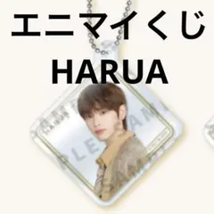 &TEAM エニマイくじ　アクリルキーホルダー HARUA