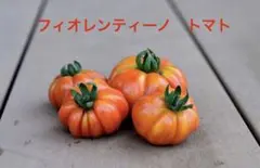 チャビー様 リクエスト 2点 まとめ商品