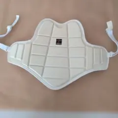 Item thumbnail for item 55064cbd-0afc-4b66-bc9e-fb1506ffe2fd