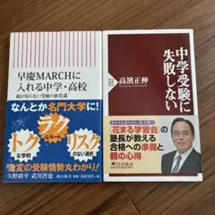 Item thumbnail for item 553539ca-4ccd-4c38-8ea6-3c86bf94ae47