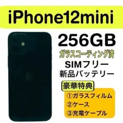 ⭐️新品バッテリー⭐️ iPhone 12mini 256GB SIMフリー 黒