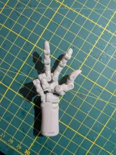 ARTIST SUPPORT ITEM 1/2 ハンドモデル / R