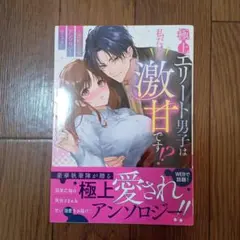 極上エリート男子は私だけに激甘です！？