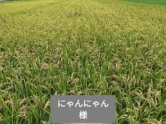 Item thumbnail for item 4a178150-cceb-4090-884b-da52f3bff574