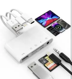 Item thumbnail for item e55cf0f7-d45d-4eeb-8384-325612614488