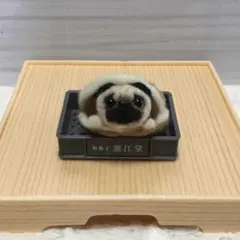 オーダー受付中❤️羊毛フェルト　どら焼きパグ