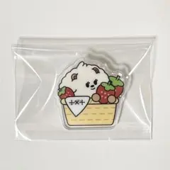 TXT ご当地 プルバトゥ アクリルバッジ 福岡 バムグッ