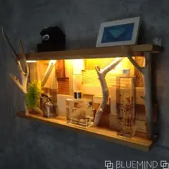 Item thumbnail for item dfdeb196-f221-4c4d-a7d5-2d30f7483c7e