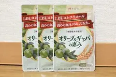 Item thumbnail for item f3c14301-24a2-4249-9f07-d38e317786db