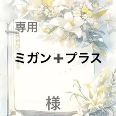 ミガン➕プラス 様　専用