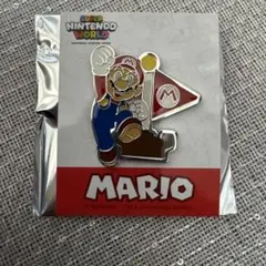 スーパーニンテンドーワールド　ピンズコレクション　マリオ