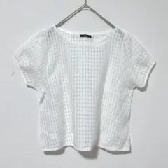 M588 C.D.S BASIC シアーカットソー　半袖　透け感　白　Ｍ　春夏のサムネイル