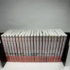 大系世界の美術 (学研)20巻セット - メルカリ