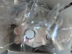 セガラッキーくじ 蓮ノ空 ラブライブ B賞 寝そべりぬいぐるみ 徒町小鈴