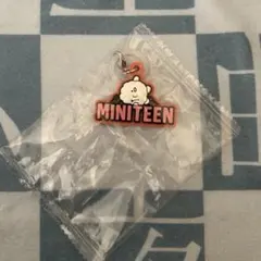 seventeen miniteen ぷっくりめじるしアクセサリー ビョプリ