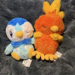 2025年最新】アチャモ☆の人気アイテム - メルカリ