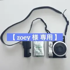 【 zoey 様専用 】