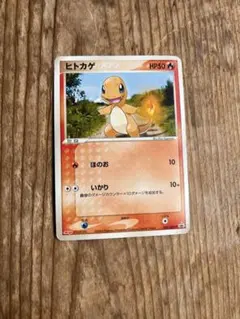 Pokemon05様 リクエスト 2点 まとめ商品