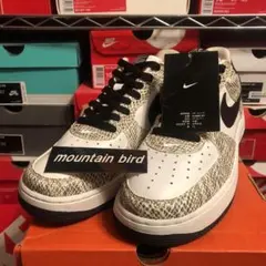 AF1 supreme north JORDAN off-white DUNK