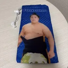 Item thumbnail for item 640903f3-e76c-40d4-9a2b-e9f11853ea0d