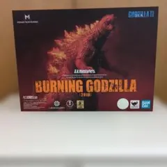 S.H.MonsterArts Burning Godzilla 2019のサムネイル