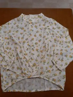 Item thumbnail for item ed3b1d29-b698-4434-8787-944824c9f836