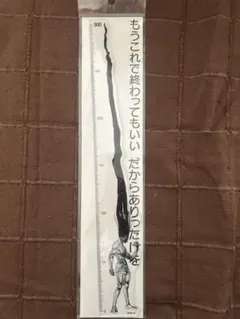 『HUNTER×HUNTER』ゴンのありったけの定規