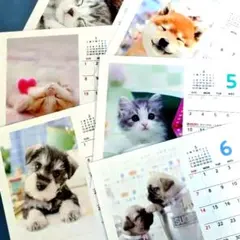 Item thumbnail for item a2d41754-a46e-4707-bd25-6a0784ea6423