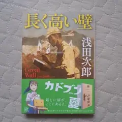 長く高い壁 The Great Wall