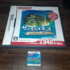 ポ【動作確認済】サバイバル・キッズ 〜Lost in Blue〜【ＤＳ】
