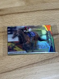 サラブレッドホースコレクション　ブレイディヴェーグルメール騎手金サイン入りカード